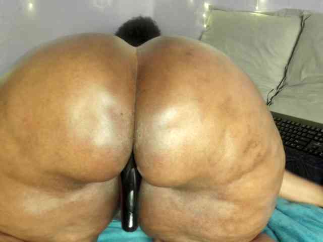 Big-Ass-Wilma webcam