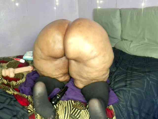 Big-Ass-Wilma webcam