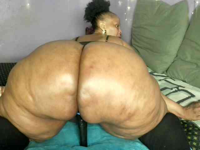Big-Ass-Wilma webcam