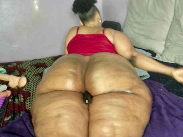 Big-Ass-Wilma webcam