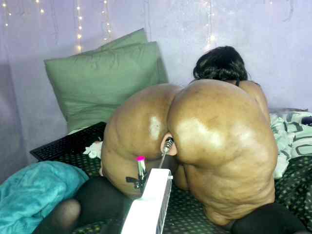 Big-Ass-Wilma webcam