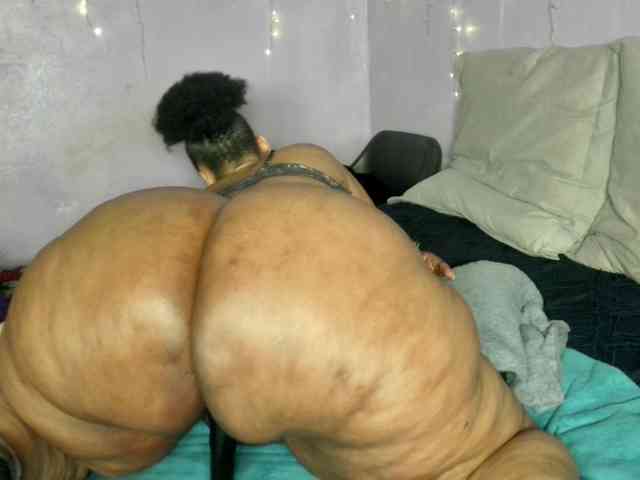 Big-Ass-Wilma webcam