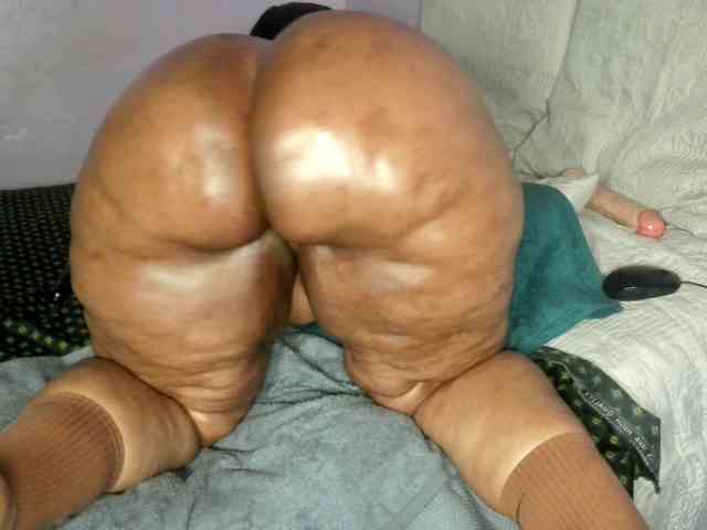 Big-Ass-Wilma webcam