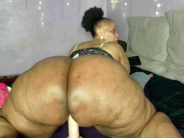 Big-Ass-Wilma webcam