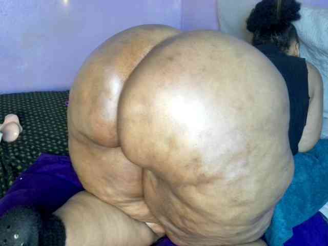 Big-Ass-Wilma webcam