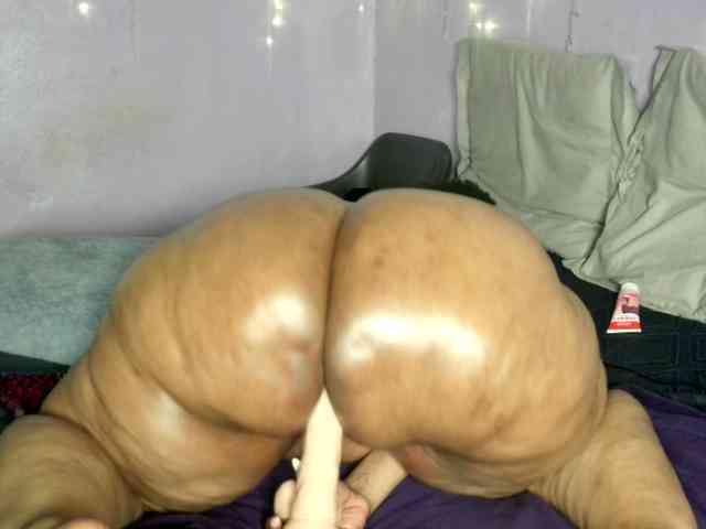Big-Ass-Wilma webcam