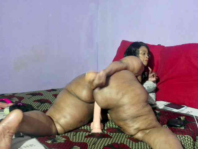 Big-Ass-Wilma webcam