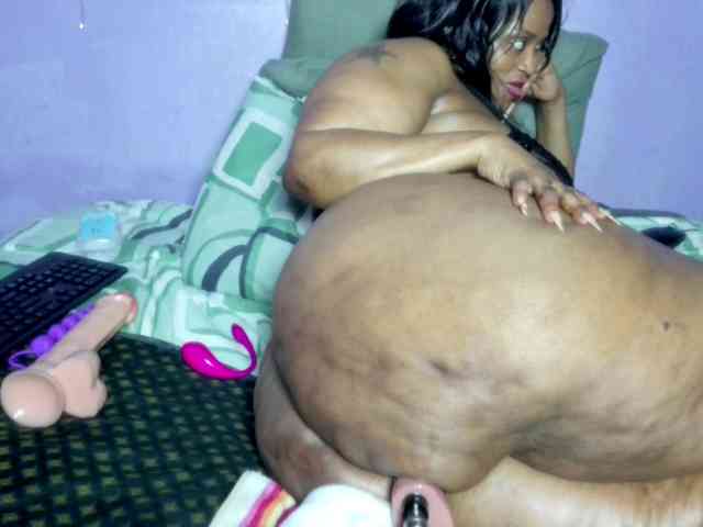 Big-Ass-Wilma webcam