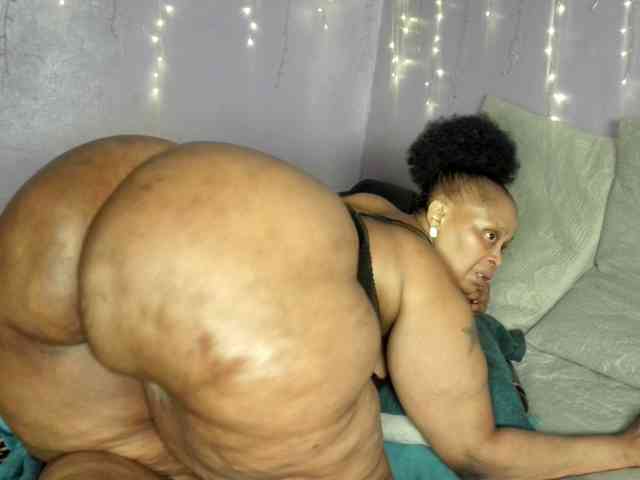 Big-Ass-Wilma webcam