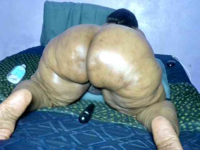 Big-Ass-Wilma webcam