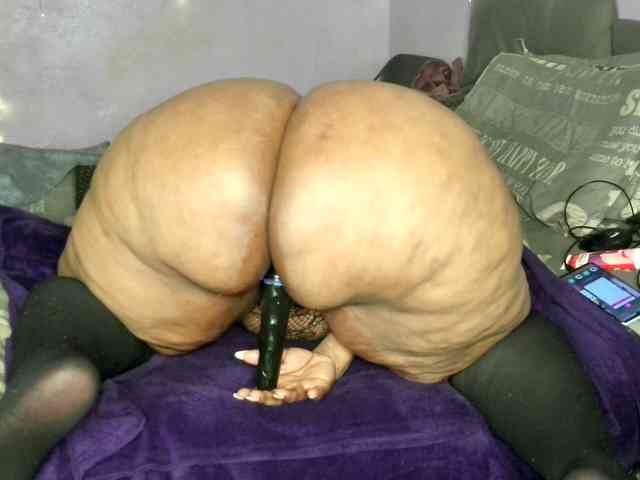Big-Ass-Wilma webcam