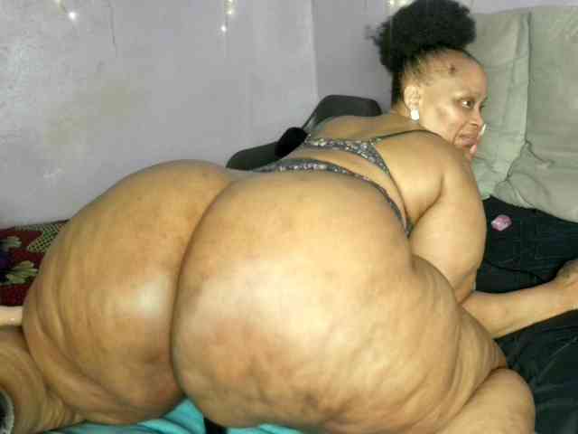 Big-Ass-Wilma webcam