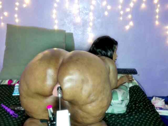 Big-Ass-Wilma webcam