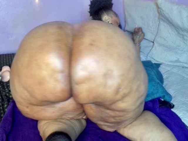 Big-Ass-Wilma webcam