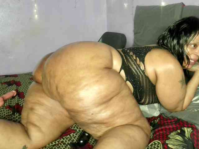 Big-Ass-Wilma webcam