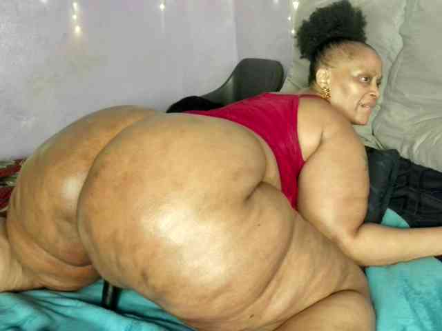 Big-Ass-Wilma webcam