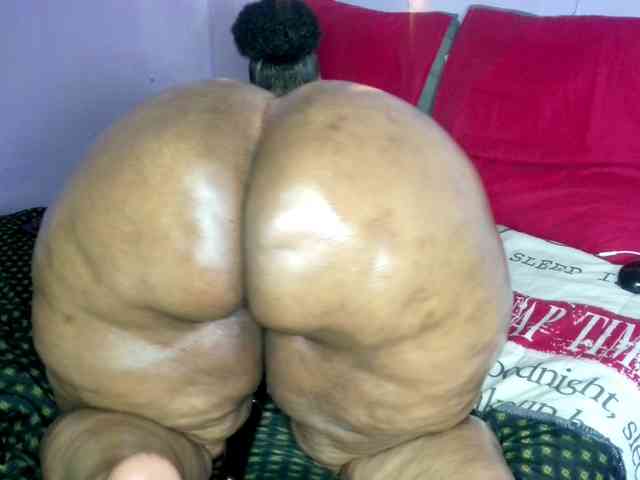 Big-Ass-Wilma webcam