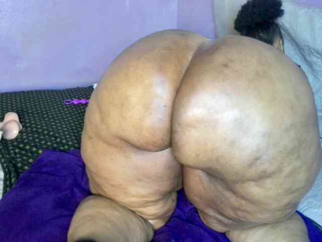 Big-Ass-Wilma webcam