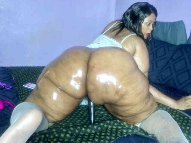 Big-Ass-Wilma webcam