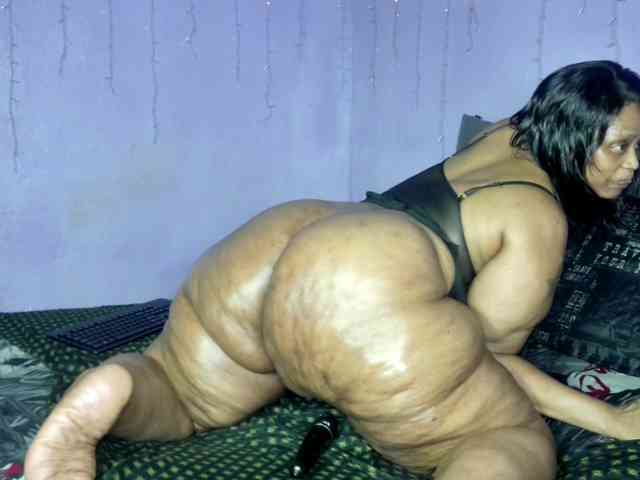 Big-Ass-Wilma webcam