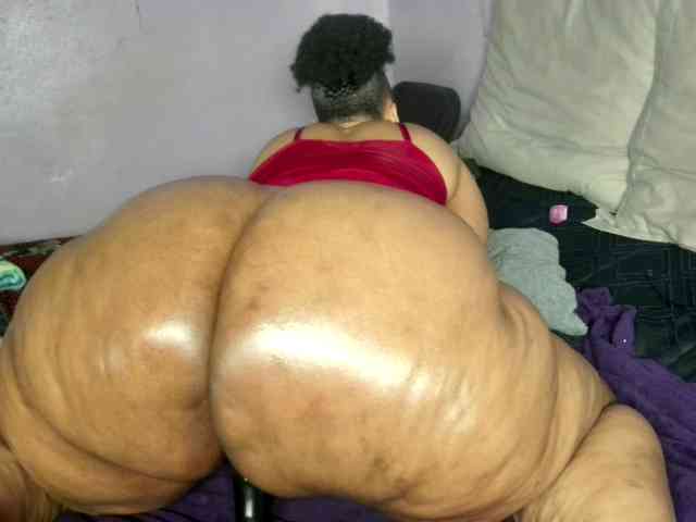 Big-Ass-Wilma webcam