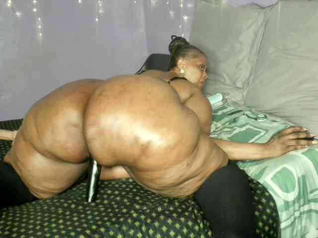 Big-Ass-Wilma webcam