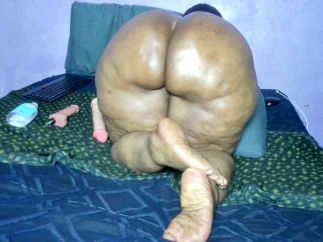 Big-Ass-Wilma webcam