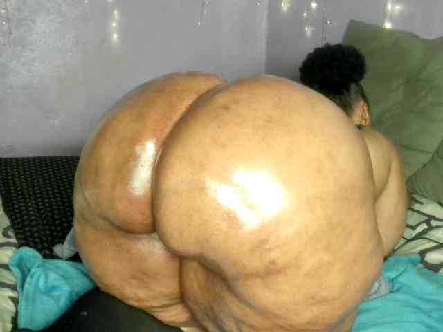 Big-Ass-Wilma webcam