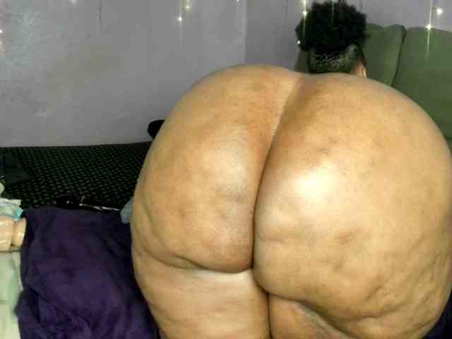 Big-Ass-Wilma webcam