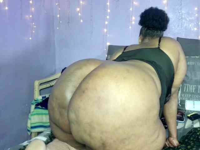Big-Ass-Wilma webcam