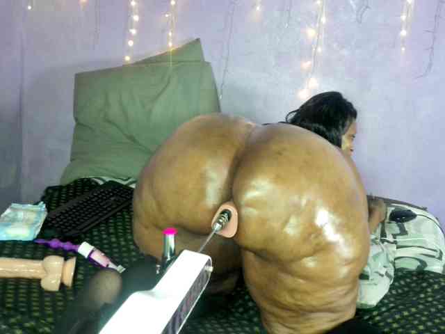 Big-Ass-Wilma webcam
