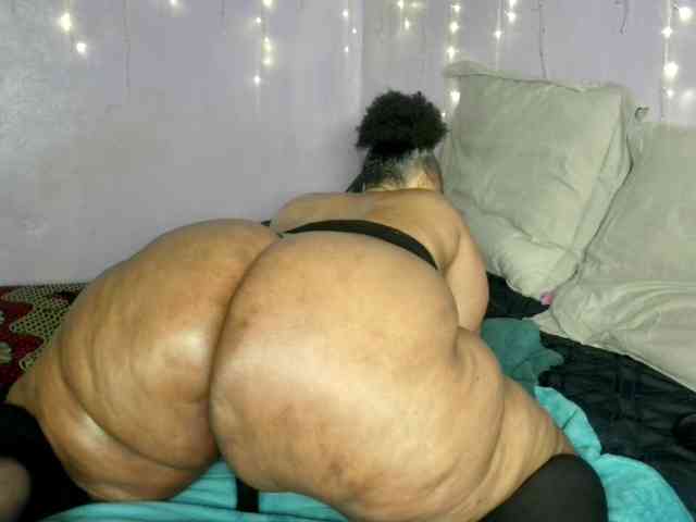 Big-Ass-Wilma webcam