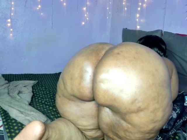 Big-Ass-Wilma webcam
