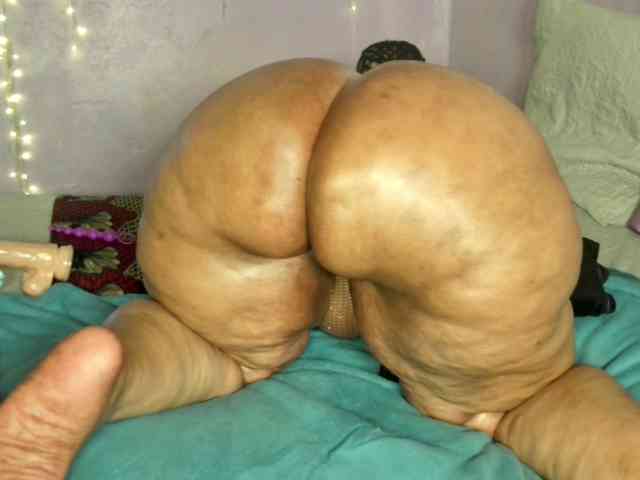 Big-Ass-Wilma Big-Ass-Wilma