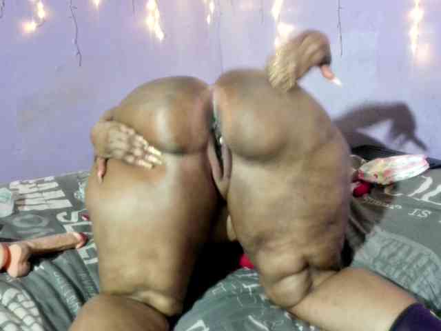 Big-Ass-Wilma webcam