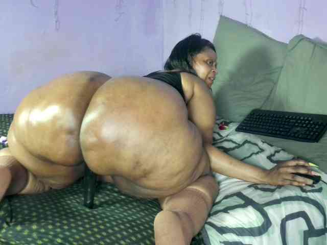 Big-Ass-Wilma webcam