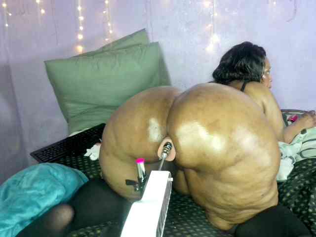 Big-Ass-Wilma webcam