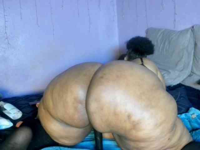Big-Ass-Wilma webcam