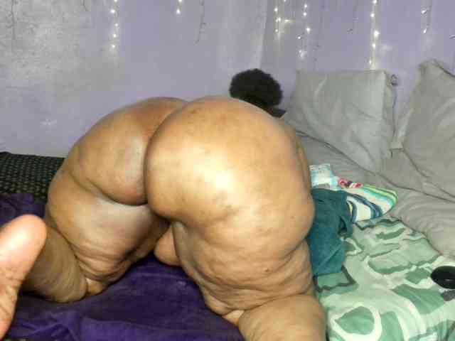 Big-Ass-Wilma webcam