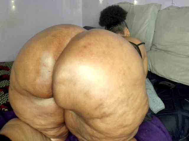 Big-Ass-Wilma webcam