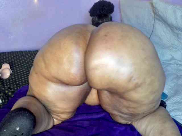 Big-Ass-Wilma webcam