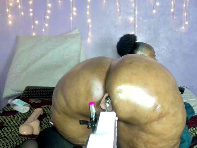 Big-Ass-Wilma webcam