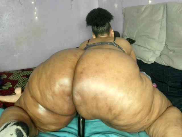 Big-Ass-Wilma webcam