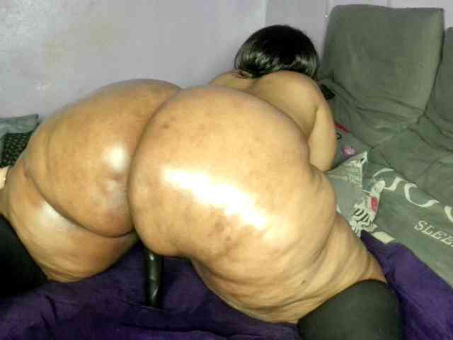 Big-Ass-Wilma webcam