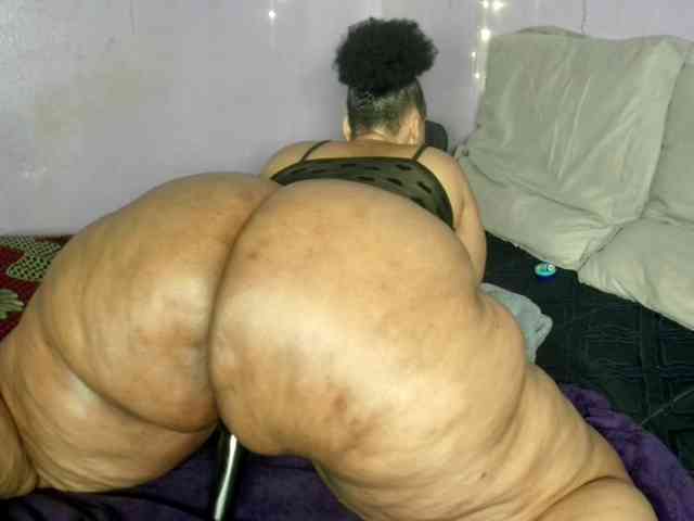 Big-Ass-Wilma webcam