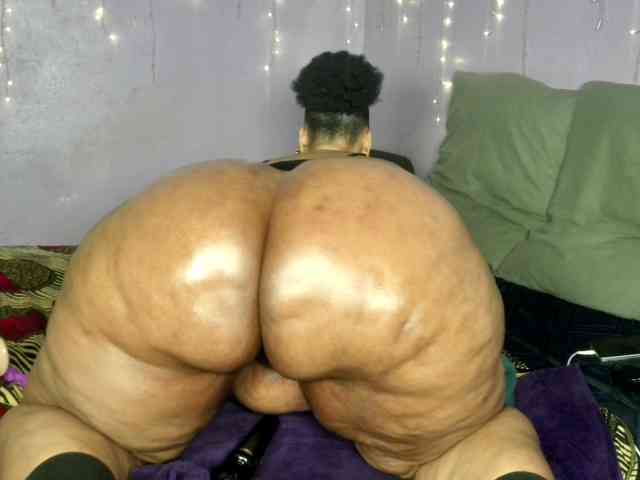 Big-Ass-Wilma webcam