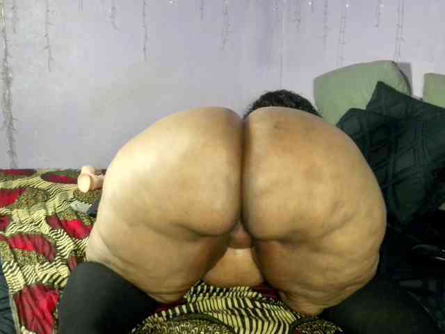 Big-Ass-Wilma webcam