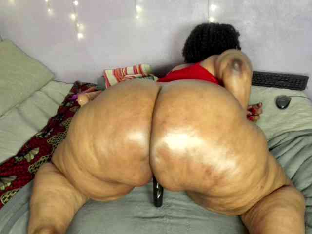 Big-Ass-Wilma webcam