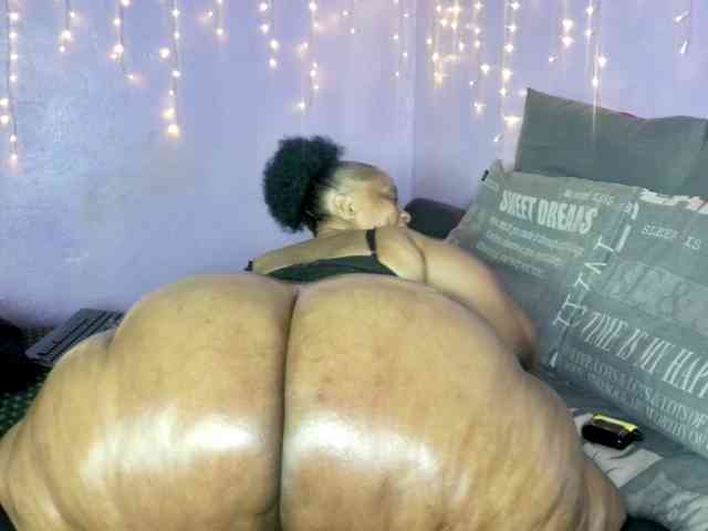 Big-Ass-Wilma webcam