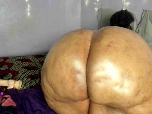 Big-Ass-Wilma webcam